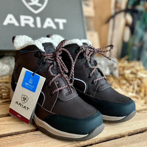Ariat Telluride Insulated Waterproof Boot